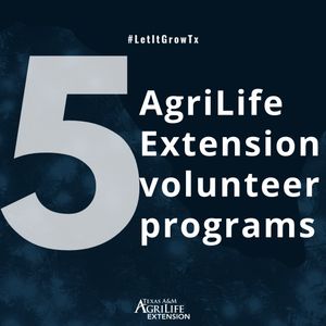 Image post by @txextension on Instagram