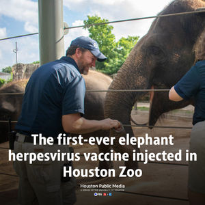 Image post by @houstonpubmedia on Instagram