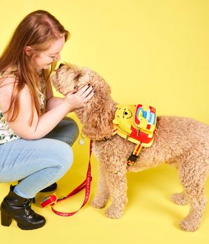 Image post by @disneypets on Instagram
