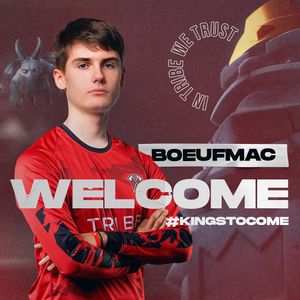 Image post by @tribegaming on Instagram