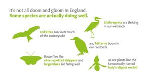 Image post by @rspb on Instagram