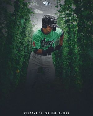 Image post by @hillsborohops on Instagram