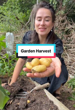 Video post by @gardeningwithlou on TikTok