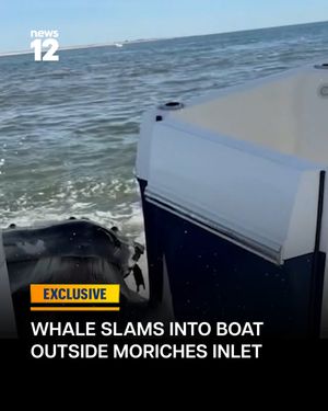 Image post by @news12li on Instagram