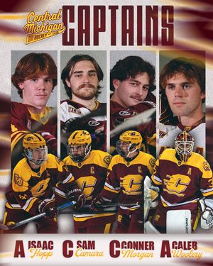 Image post by @cmuhockeyd3 on Instagram