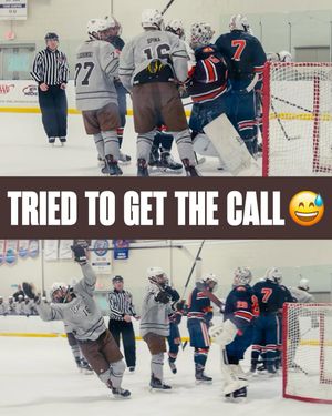 Image post by @hockeyhousepod on Instagram