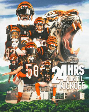 Image post by @bengals on Instagram
