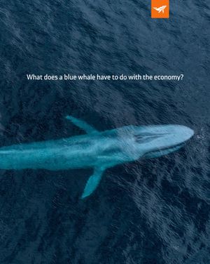 Image post by @sealegacy on Instagram