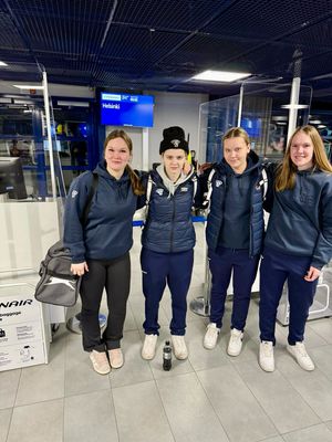 Image post by @leijonatfi on Instagram