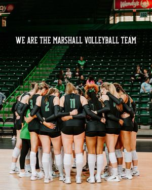 Image post by @herdvolleyball on Instagram