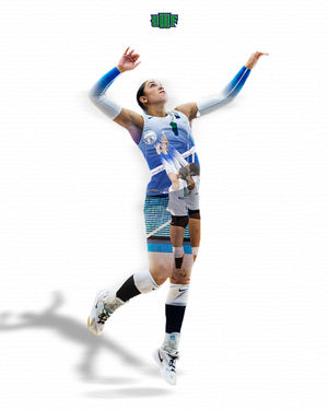 Image post by @uwfvolleyball on Instagram