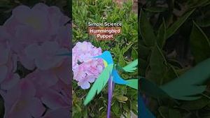 Video post by @kiwico on YouTube