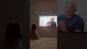 Video post by @tedflixnchill on YouTube