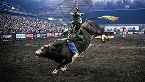 Video post by @pbr on YouTube