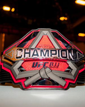 Image post by @ufcbjj on Instagram