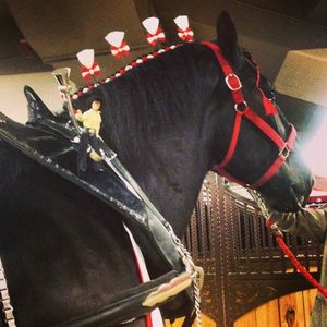 Image post by @nationalwestern on Instagram