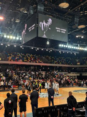 Image post by @londonlions on Instagram