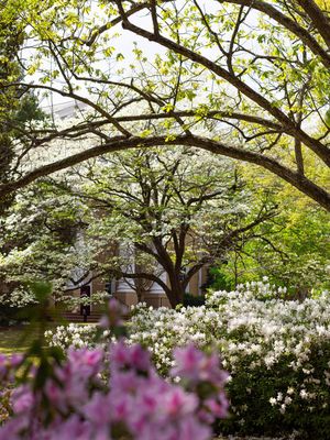 Image post by @uofsc_hrsm on Instagram