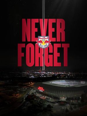 Image post by @newyorkredbulls on Instagram