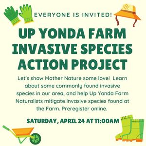 Image post by @upyonda_farm on Instagram