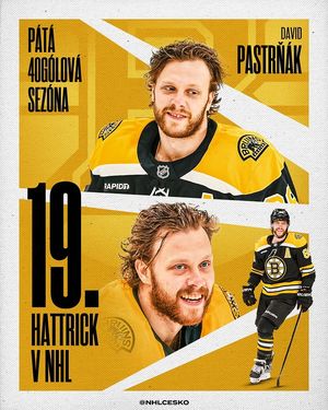 Image post by @nhlcesko on Instagram