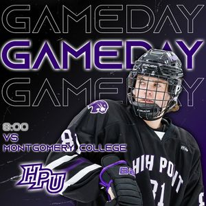 Image post by @highpointud3hockey on Instagram