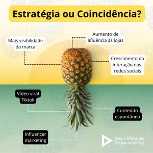 Image post by @vascomarquesnet on Instagram