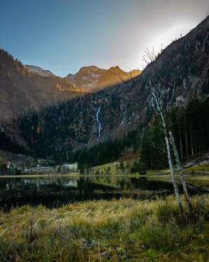 Image post by @cristan.nature.photography on Instagram