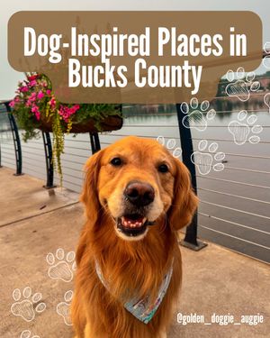 Image post by @visitbuckspa on Instagram