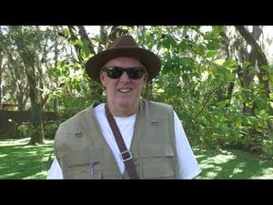 Video post by @jennifercelentano on YouTube