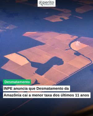 Image post by @operitoambiental on Instagram