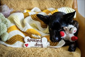 Image post by @wufers on Instagram