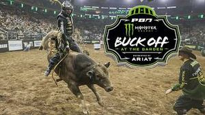 Video post by @pbr on YouTube