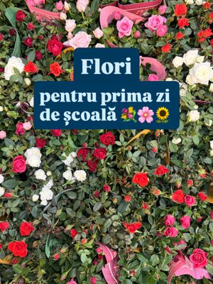 Image post by @lidlromania on Instagram
