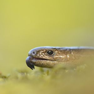 Image post by @rspb on Instagram
