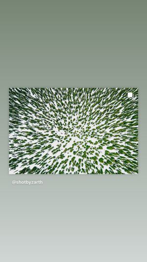 Video post by @gomediakc on Facebook