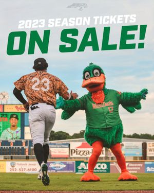 Image post by @GoWoodDucks on Twitter