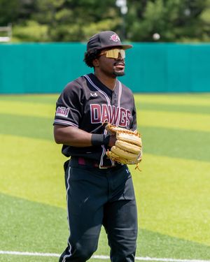 Image post by @siu_baseball on Instagram