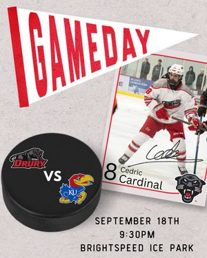 Image post by @drurym3hockey on Instagram