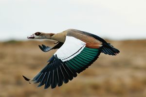 Image post by @jkh_photo on Instagram