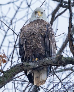 Image post by @jontenca on Instagram