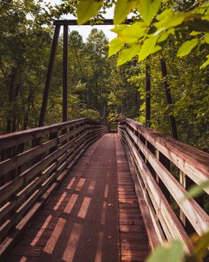Image post by @wandernorthga on Instagram