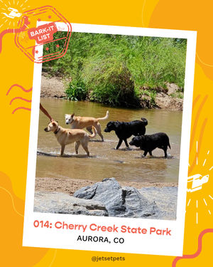 Image post by @jetsetpets on Instagram