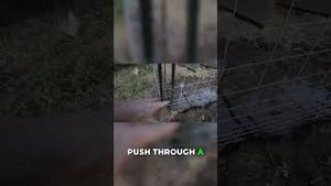 Video post by @bettertogetherlife on YouTube
