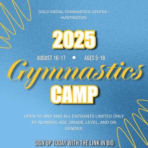 Image post by @liuwgymnastics on Instagram