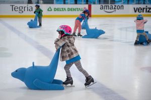Image post by @usfigureskating on Instagram
