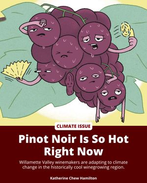 Image post by @portlandmercury on Instagram