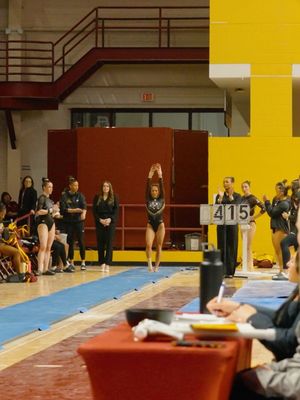 Image post by @gopherwgym on Instagram