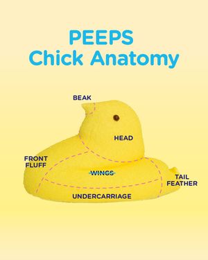 Image post by @peepsbrand on Instagram