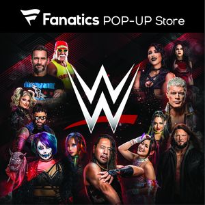 Image post by @wwejapan on Instagram